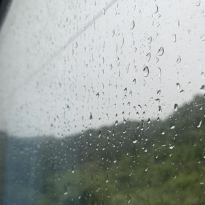 榴莲视频成人♥在线观看
