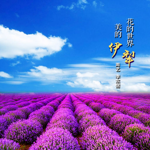 榴莲视频成人♥在线观看
